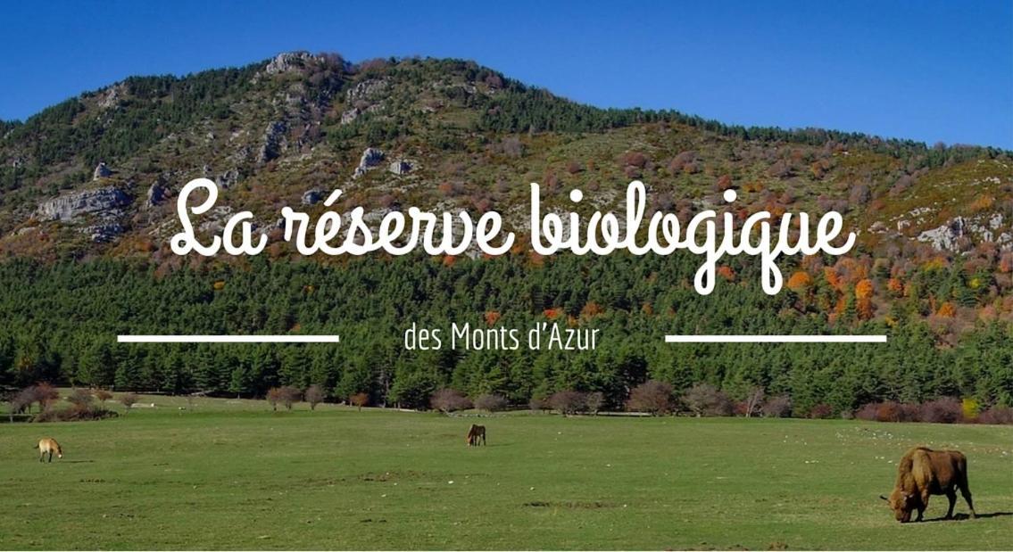 Montagne, Mer Et Verdon Seranon Ngoại thất bức ảnh